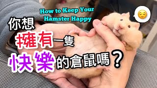 保持倉鼠快樂的13種方法 How to Make Your Hamster Happy 怎樣確保飼養的倉鼠開心 [upl. by Kenon]