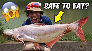 Caught a GIANT FISH In Marikina River  Philippines Fishing [upl. by Nuhsed402]