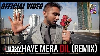 HAYE MERA DIL Remix  YO YO HONEY SINGH amp ALFAAZ  DJ Lucky  HARSHIL PALSANA VISUALS [upl. by Flita]