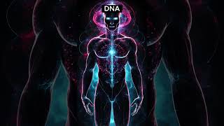 DNA The Key to Genetic Code  dna [upl. by Refanej]