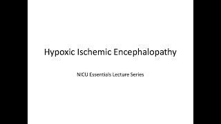 Hypoxic Ischemic Encephalopathy HIE [upl. by Annazus]