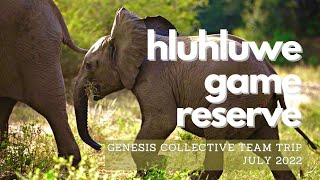 Hluhluwe Game Reserve [upl. by Smart]