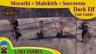 Dark Elf Unit Guide Morathi amp Malekith amp Sorceress  Total War Warhammer 2 Army Review [upl. by Eillim39]