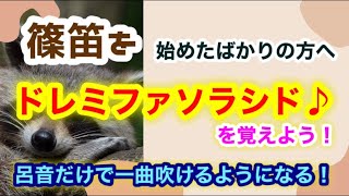 【篠笛】運指表を見ながらドレミを覚えよう♪呂音で簡単に吹ける曲！【初挑戦】 [upl. by Etteluap]