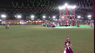 DAY 2 DILIP NAGAR NAVRATRI MAHOTSAV 2024 DAMAN [upl. by Annawahs]