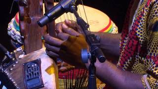 The Griot tradition of West Africa  Sibo Bangoura  TEDxSydney [upl. by Baudin]