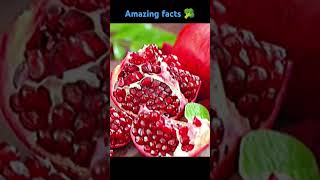 Top 10 Amazing facts about healthyfood shortsfeed 10amazingfactsabouteverything [upl. by Sanchez]