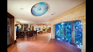 MOST AMAZING HOME AQUARIUM [upl. by Delle722]