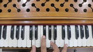 How To Play Sa Re Ga Ma Pa From D Major Scale [upl. by Anilek]