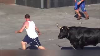 Bull Vs PeopleDemolishing People Compilation [upl. by Darb]