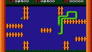 Waixing NES Edacity Snakes [upl. by Kare33]