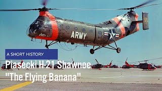 Piasecki H21 Shawnee  A Short History of the Flying Banana [upl. by Chemash]