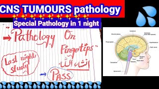 CNS TUMOURS pathology ❣️ ❣️ ❣️ Pathology on fingertips patho glioblastoma multiform [upl. by Moya]