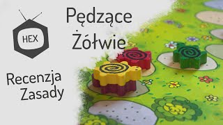 Pędzące Żółwie  zasady amp recenzja hexTV [upl. by Clellan812]