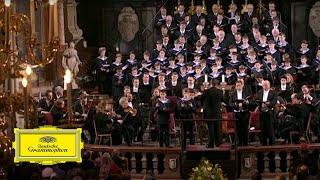 Wiener Sängerknaben Chorus Viennensis – Mozart Mass in C Major K317 Coronation Mass II Gloria [upl. by Canica]