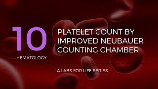 Platelet Count by Improved Neubauer Counting Chamber [upl. by Crichton]