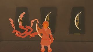 Can you Display The OneHit Obliterator in Links House Zelda Breath of the Wild [upl. by Oxford]