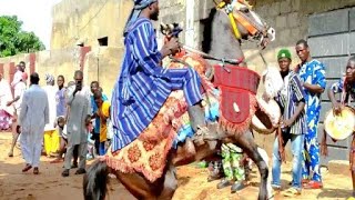 Adossa Gadaou 2025 festivals des chevaux en veille en route à Sokodé préparer vous allez [upl. by Esilahs29]