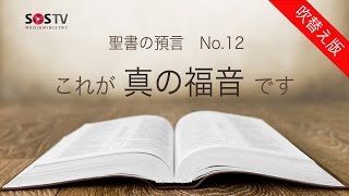 聖書の預言 NO12『これが真の福音です』 ソン・ケムン牧師 [upl. by Largent]