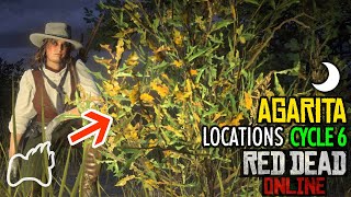 RED DEAD ONLINE AGARITA Cycle 6 Locations Collector Guide Wild Flowers Collection RDO [upl. by Rengia]