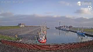 LiveWebcam Hafen in Dornumersiel [upl. by Akerue]