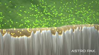 Astro Pak  Microscopic View of Electropolishing  Narrated [upl. by Kezer157]