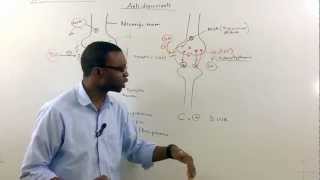 Tricyclic antidepressants TCA Pharmacology [upl. by Nievelt142]