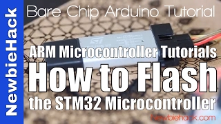 3 How to Set up the STLink v2 Programmer Tutorial for ARM Microcontrollers [upl. by Dj513]