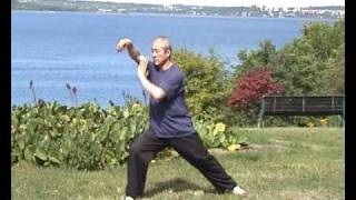 Taijiquan 88 forms 88式太极拳 22 [upl. by Lowenstern421]