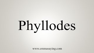 How To Say Phyllodes [upl. by Philo569]