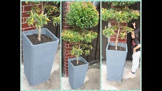 How to Make Beautiful Concrete Planters for Any Plants  DIY Cement Pot [upl. by Nakah]