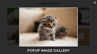 Create A Responsive Popup Image Gallery Using HTML CSS And Vanilla Javascript [upl. by Ezara]