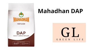 Mahadhan DAP [upl. by Jori]