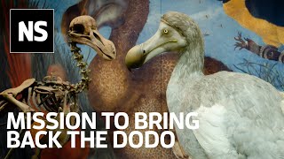 Beth Shapiro The ancient DNA pioneer’s mission to bring back the dodo [upl. by Ellehcan]