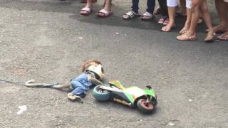 Walking street monkey show Surabaya Animal abuse or cultural show [upl. by Sunday523]