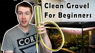 Exactly How To Clean Aquarium Gravel For Beginners [upl. by Bihas]