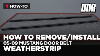 How To Remove amp Install 0509 Mustang Door Belt Weatherstrip [upl. by Nibroc]