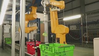 Ocado develops robotic hand to pick groceries for customers orders [upl. by Spiegleman582]