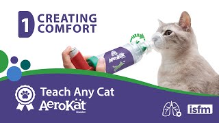 Teach Any Cat AeroKat  1 Creating Comfort [upl. by Aiuqes]