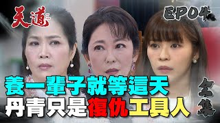 天道 EP4 完整版｜原來丹青只是工具人｜FIGHT FOR JUSTICE｜【蘿琳亞塑身衣】 [upl. by Pickard]