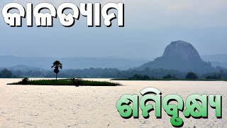 Camping at Kala Dam Mayurbhanj near Samibrukhya [upl. by Noram928]