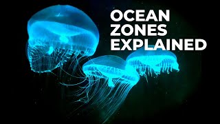 Ocean Zones — EXPLAINED [upl. by Wittenburg]