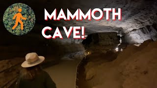 Mammoth Cave National Park  Gothic Avenue Full Virtual Tour  4K [upl. by Giff]