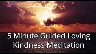 5 Minute Guided Loving Kindness Meditation [upl. by Wesa923]