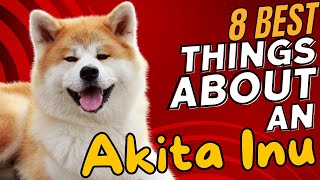 8 Best Things About an Akita Inu 🐶 [upl. by Zora]