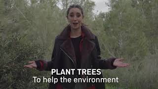 Plant a Tree in Israel with Jewish National Fund  Tu BiShvat [upl. by Igiul]