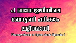 1Botany Class Photosynthesis in higher plants Episode 1 [upl. by Kristo206]