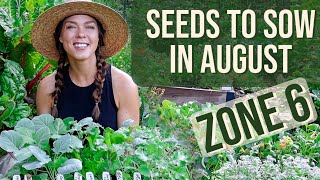 Vegetable Seeds to Plant in August Zone 6 [upl. by Oruasi]