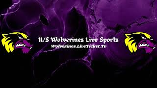 HerreidSelby Area Wolverines vs Potter County Battlers VB [upl. by Franky]