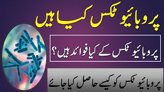 Probiotics in urdu  Probiotics kya hai  probiotics kay fawaid [upl. by Dickey]